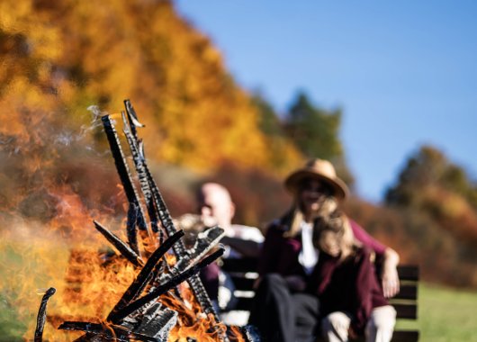 Daily Program at Dosłońce Resort