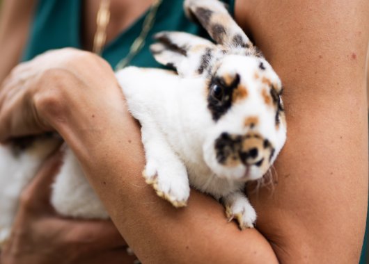 Program Pobytu w Dosłońce Resort