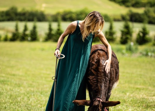 Program Pobytu w Dosłońce Resort