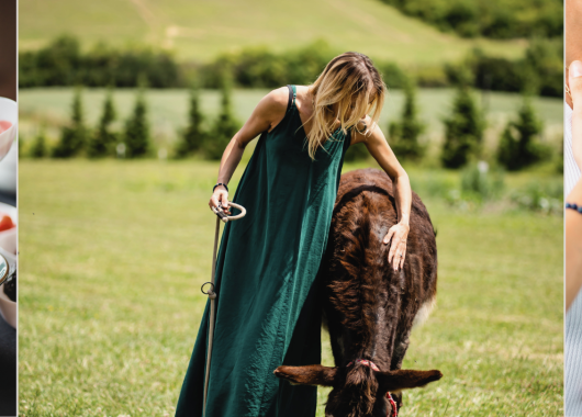 Program Pobytu w Dosłońce Resort