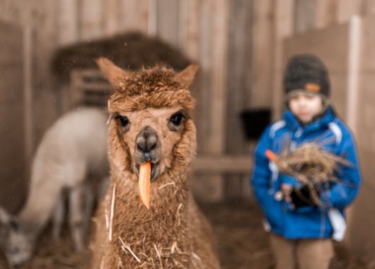 Harmony of Flavors Restaurant