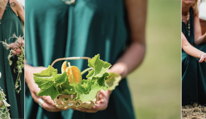 Wellness & Farm Festiwal - 16 sierpnia 