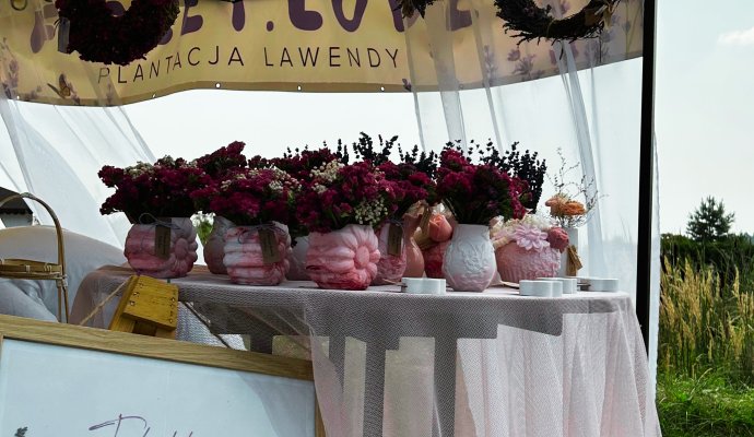 II Wellness & Farm Festiwal &ndash; bezpłatne wydarzenie w Dosłońce Resort Wellness & Farm już 15 sierpnia 2026