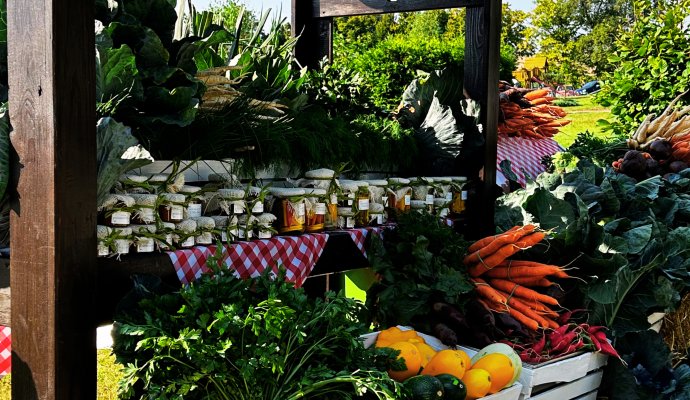 II Wellness & Farm Festiwal &ndash; bezpłatne wydarzenie w Dosłońce Resort Wellness & Farm już 15 sierpnia 2026