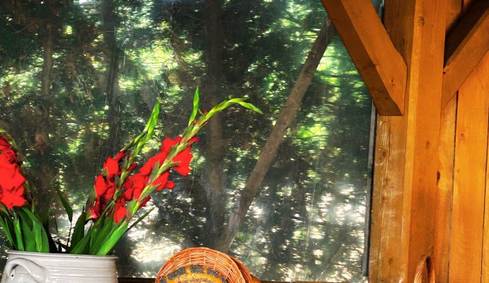 II Wellness & Farm Festiwal &ndash; bezpłatne wydarzenie w Dosłońce Resort Wellness & Farm już 15 sierpnia 2026