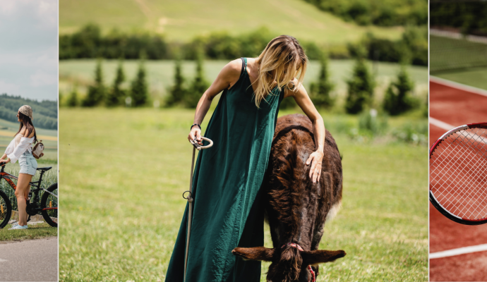 Rozbudowany program animacyjny