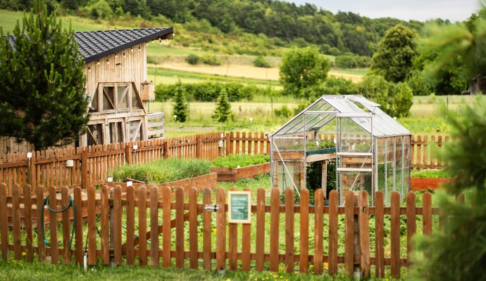 Farm-to-table - dlaczego ta filozofia zmienia sposób, w jaki jemy?