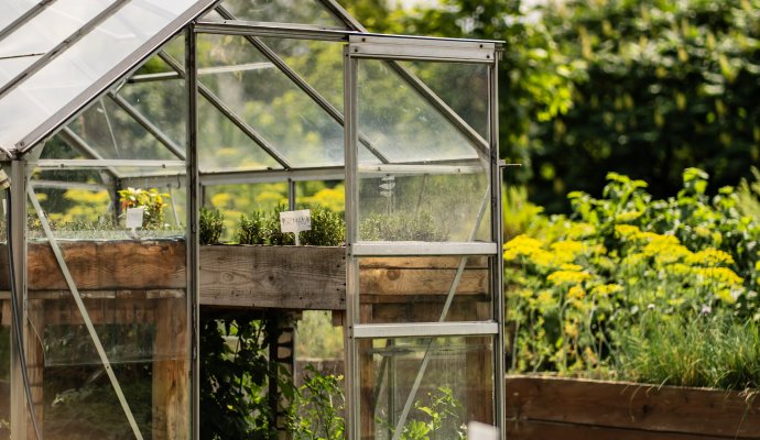 Farm-to-table - dlaczego ta filozofia zmienia sposób, w jaki jemy?