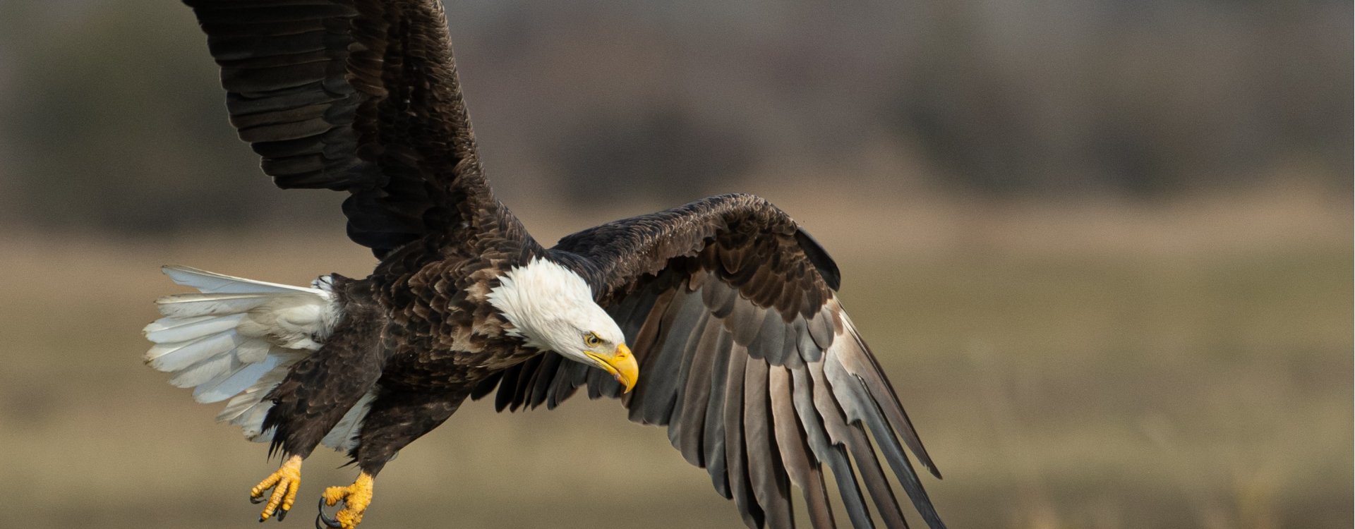 Leśny Park Niespodzianek - Ustroń