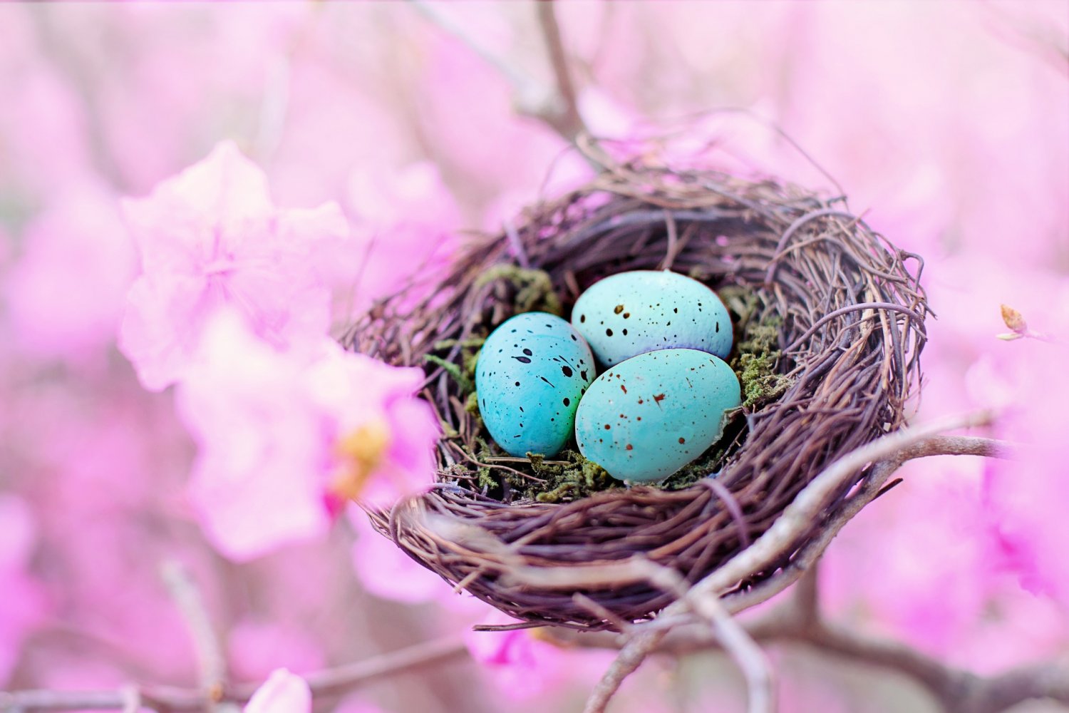Easter