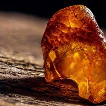 Muzeum Bursztynu w Kołobrzegu