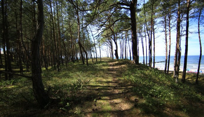 Fotorelacja z gorącego sierpnia