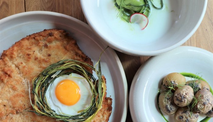 V urodziny Magii Lubczyku