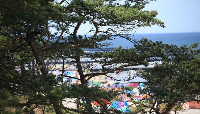 Fotorelacja z gorącego sierpnia