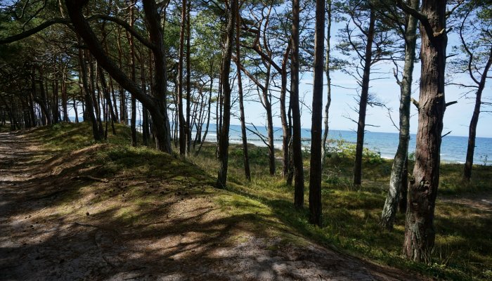 Weekend czerwcowy nad morzem