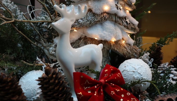 Magiczne Boże Narodzenie 