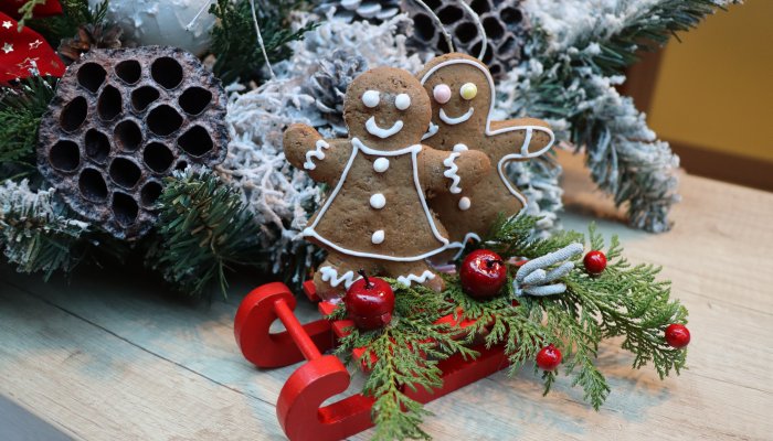 Magiczne Boże Narodzenie 