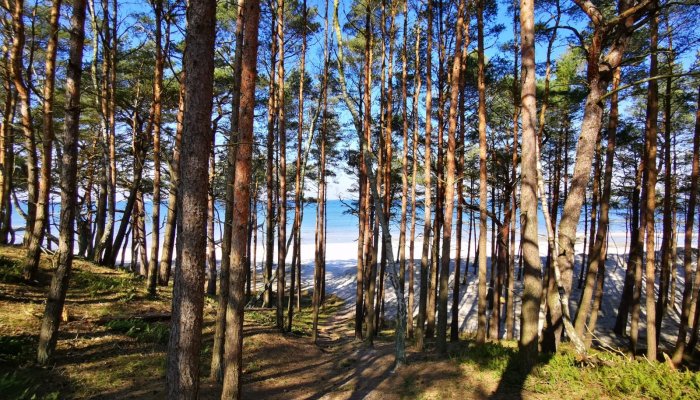 Przywitaj z nami wiosnę!