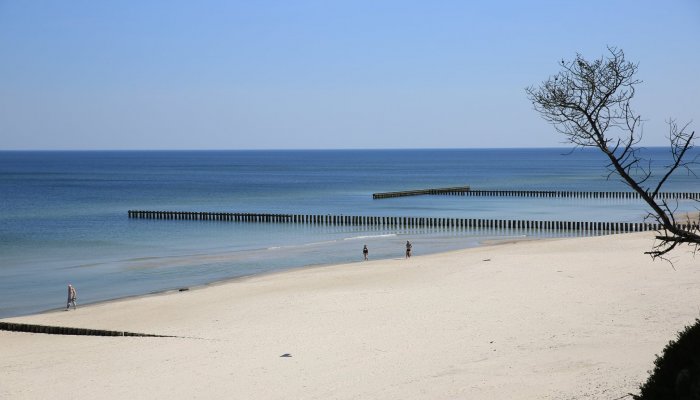 Poranny spacer plażą HAVET Hotel