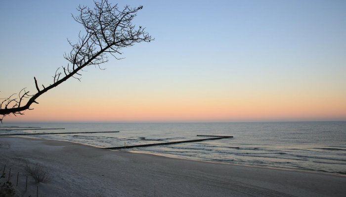 Poranny spacer plażą HAVET Hotel