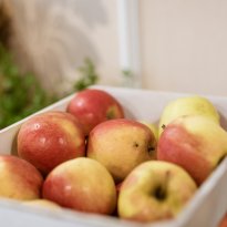 Regional healthy products full of taste and aroma