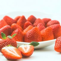 Always up-to-date, seasonal menu inserts