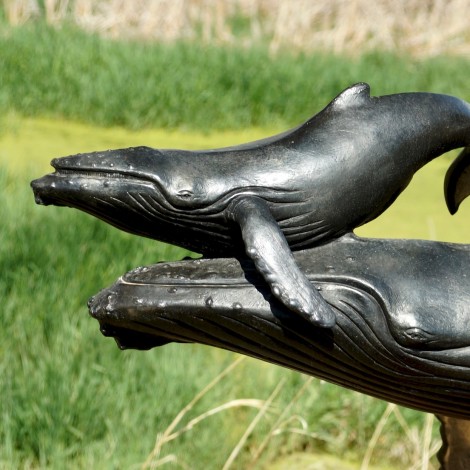 Der Walpark in Rewal