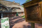 Bienenwelten in Bispingen-Niederhaverbeck