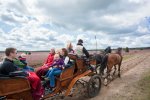 Kutschfahrten durch die Lüneburger Heide