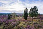 Romantisches Naturschutzgebiet Lüneburger Heide