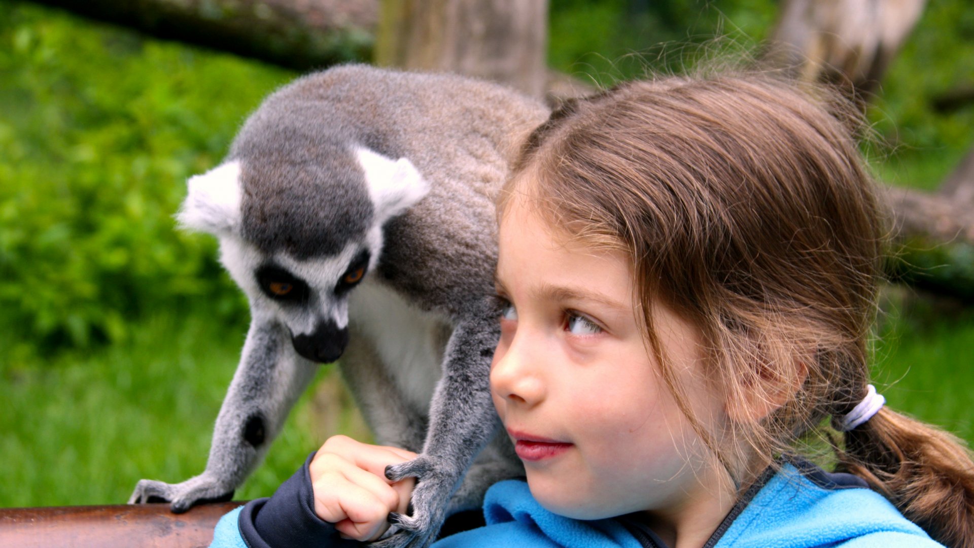 Safari-Park Hodenhagen