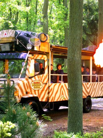 Day trip for groups in the Hodenhagen Safari Park