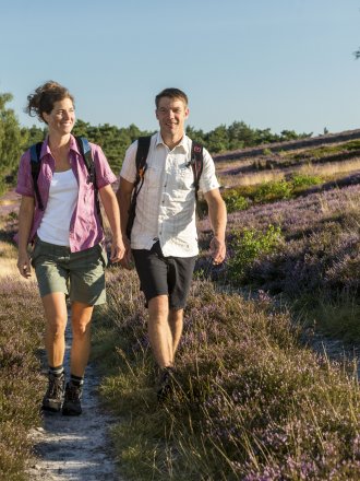Guided hike