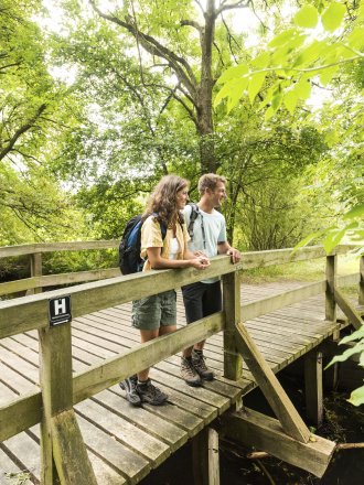 Journey of discovery in the Lüneburg Heath