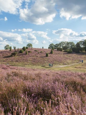 Erkunden Sie die schöne Region rund um Bispingen.