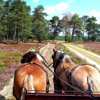 Hotel mit sehr gutem Service und Wohlfühlcharakter