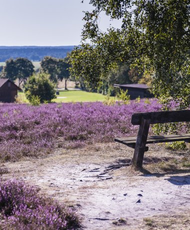 Die malerische Zeit der Heideblüte