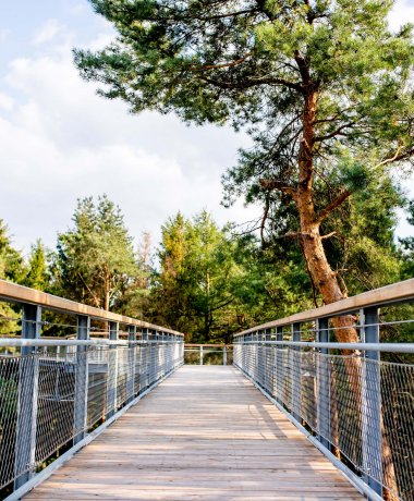 Baumwipfelpfad Heide Himmel