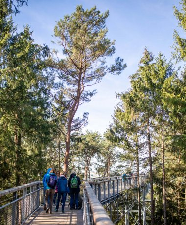 Baumwipfelpfad Heide Himmel