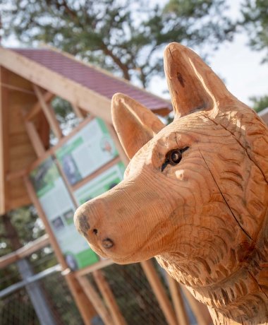 Baumwipfelpfad Heide Himmel
