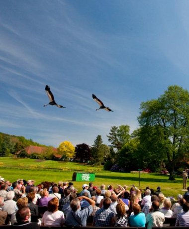 Walsrode World Bird Park