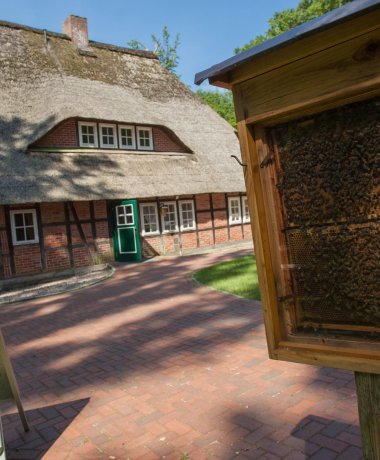 Bienenwelten in Bispingen-Niederhaverbeck