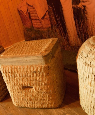 Bienenwelten in Bispingen-Niederhaverbeck