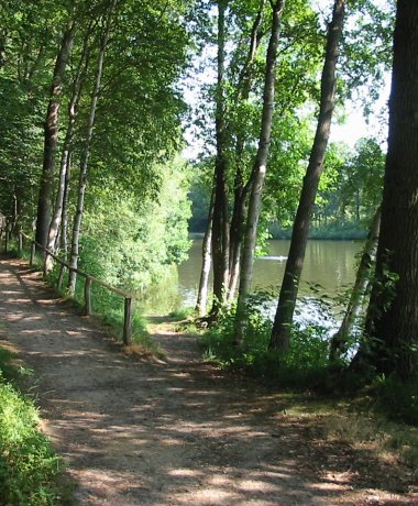 Brunausee Bispingen-Behringen