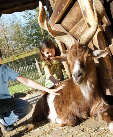 Center Parcs Bispinger Heide