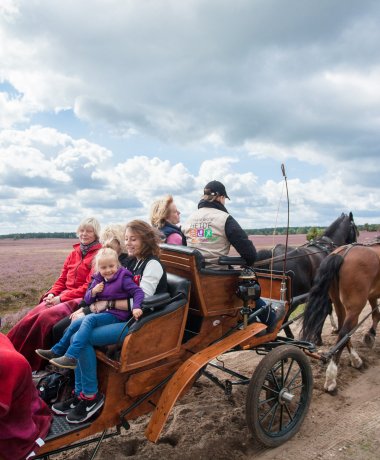 Kutschfahrten durch die Lüneburger Heide