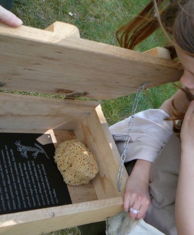 Machandel adventure trail