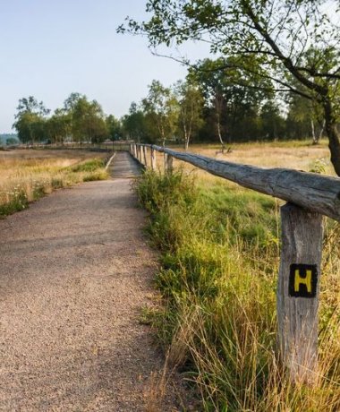 The Heidschnuckenweg pin as a reward