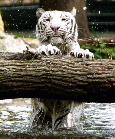 Serengeti-Park Hodenhagen