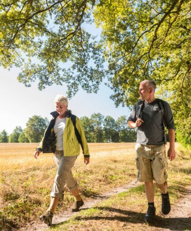 The Heidschnuckenweg pin as a reward